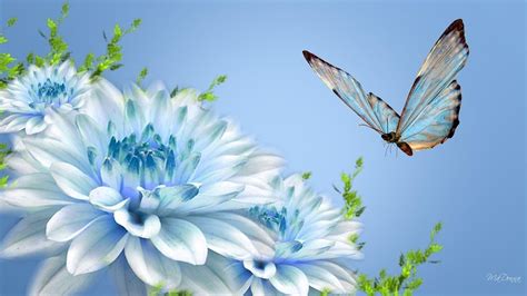 10 Top Butterfly With Flowers Wallpapers FULL HD 1920×1080 For PC Desktop