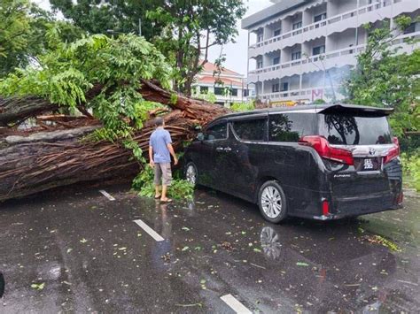 Video Lagi Kes Pokok Tumbang Kereta Baru Dibeli Minggu Antara