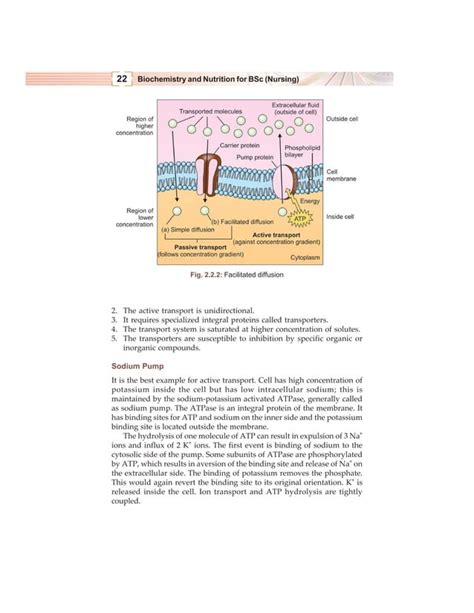 Biochemistry And Nutrition Bsc Nursing Gnm Pdf