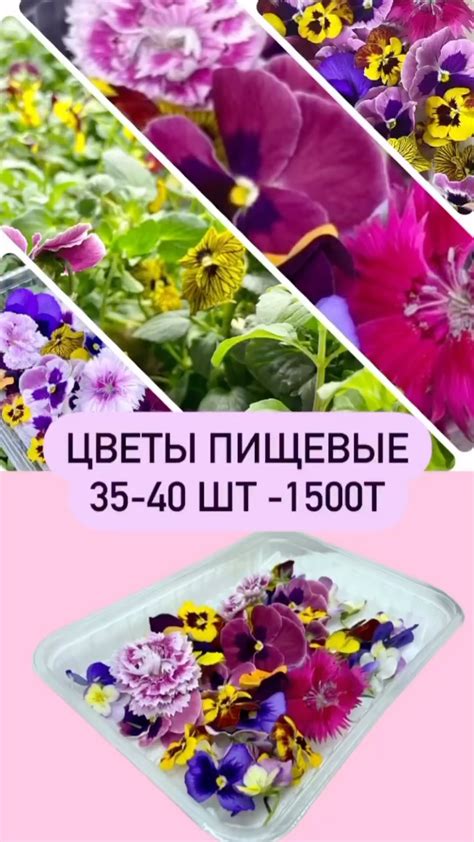Микрозелень в Алматы | Пищевые цветы, выращенные на гидропонике ...