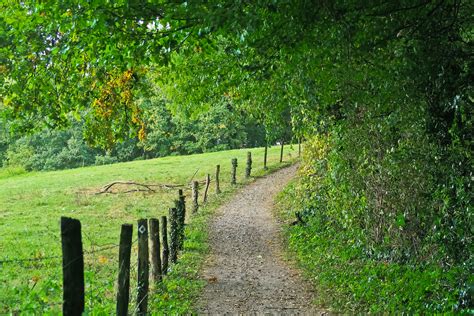 Free Images Tree Nature Grass Outdoor Barbed Wire Hiking Trail