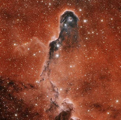 Elephant Trunk Ic 1396 Nebula