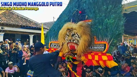 Ketika Penonton Masuk Kalangan Reog Singo Mudho Manggolo Putro Ds