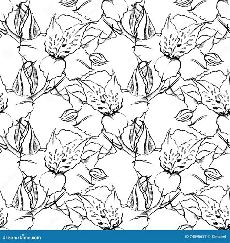 Monochrome Alstroemeria Floral Seamless Pattern Texture Background