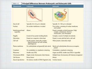 Oral Microbial Flora Ppt