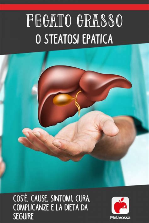 Fegato grasso o steatosi epatica cosè cause sintomi cura