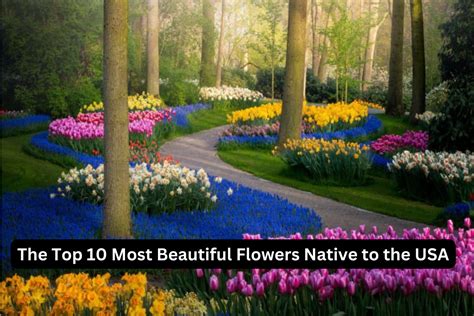 The Top 10 Most Beautiful Flowers Native to the USA