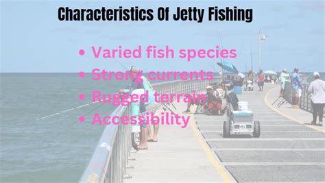 Best Fishing Rod for Jetty. 7 Best Fishing Rods for Jetty: Choosing the ...