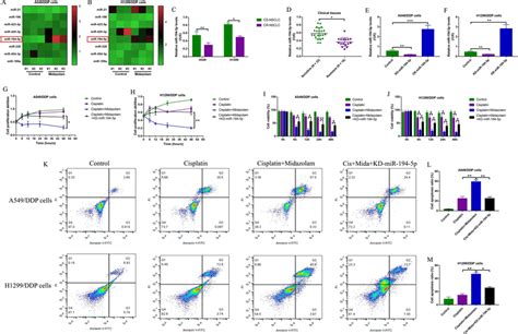 Midazolam Upregulated Mir 194 5p To Improve Cisplatin Sensitivity In