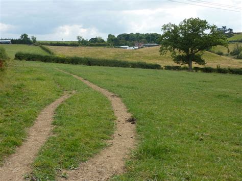 Well Worn Path © Peter Barr Geograph Britain And Ireland