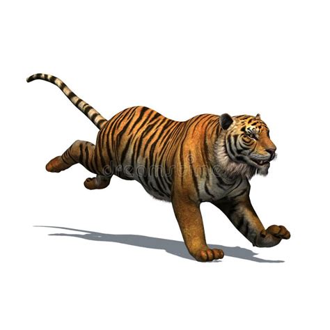 Tiger Shadow Stock Illustrations – 860 Tiger Shadow Stock Illustrations ...