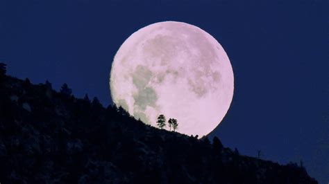 The First Full Moon of 2023 Is a Celestial Event