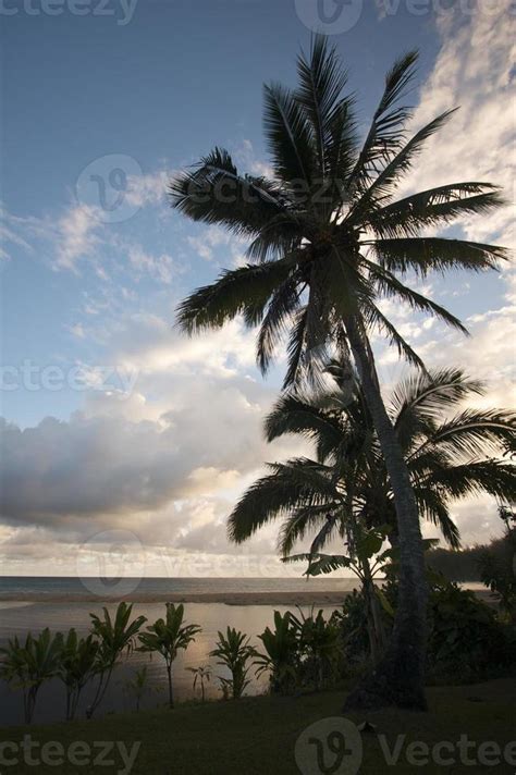 Tropical Sunset with Palm Trees 16292412 Stock Photo at Vecteezy