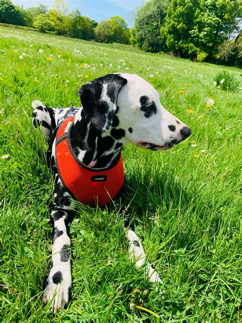 Millets - We've put together an extensive guide on family friendly