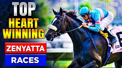 Top Best Races Of Zenyatta Come From Behind Wins Youtube