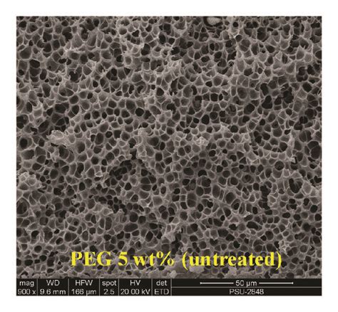 Sem Micrographs Cross Sectional Structure Of Pure Psf A Psfpeg