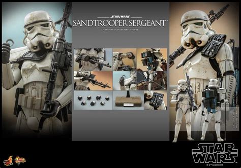Hot Toys Sandtrooper Sergeant Figure Sixth Scale Star War Limited Collectible Comic Concepts