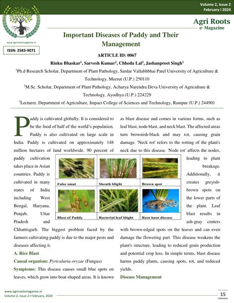 (PDF) Important Diseases of Paddy and their Management