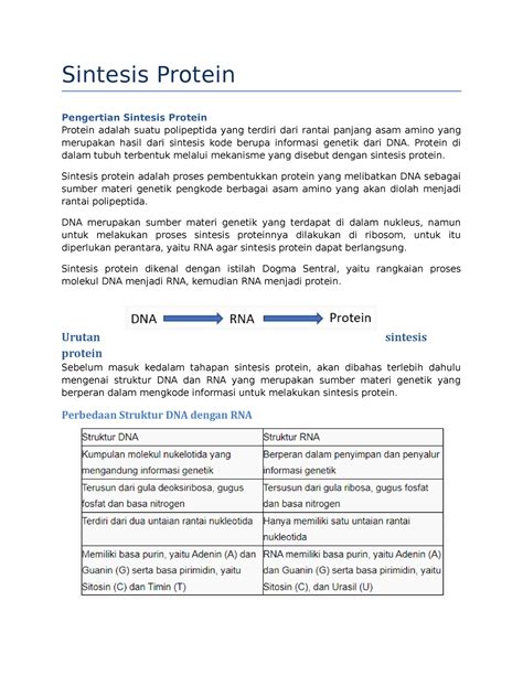 Sintesis Protein Sintesis Protein Pengertian Sintesis Protein Protein Adalah Suatu Polipeptida