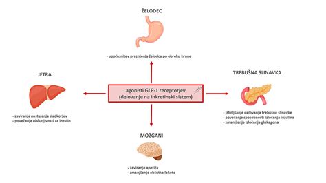 Zdravila Za Sladkorno Bolezen Za Injiciranje Ki Niso Inzulin