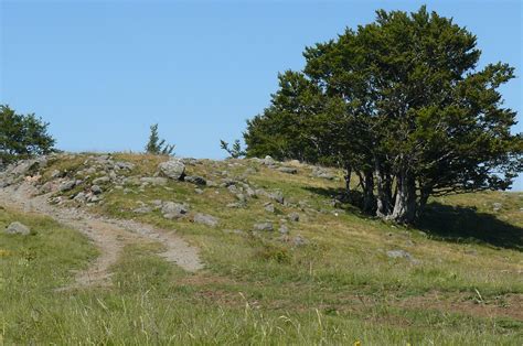 Tour Des Monts Daubrac Randonn E P Destre En Aveyron