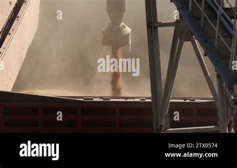 Close Panorama Of Ship Loading Grain Crops On Bulk Freighter Via Trunk