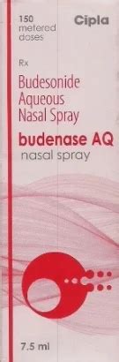 Budenase Aq Nasal Spray Dose Mcg At Rs Piece In Nagpur Id