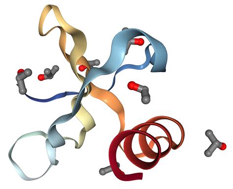 CCL20 MIP 3 Protein Overview Sino Biological