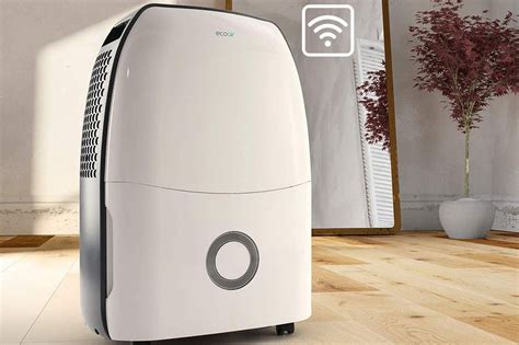 Top 5 Best Smart Dehumidifiers In 2024 Skingroom