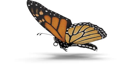 Monarch Butterfly Clip Art Png Download Full Size Clipart 2992822