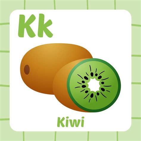 flashcard for kids, kiwi vector 19515661 Vector Art at Vecteezy