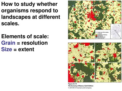 Ppt Landscape Ecology Large Scale Spatial Patterns And Ecological