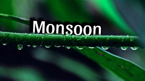 The Rain Monsoon Cinematic Video Into The Nature YouTube