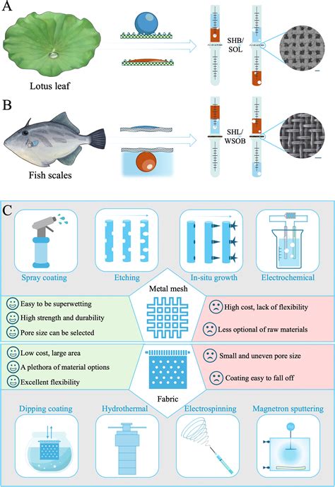 Bioinspired Superwetting Oilwater Separation Strategy Toward The Era