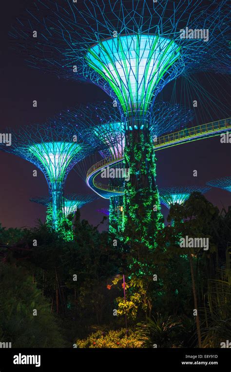 Gardens by the Bay at night, Singapore, Asia Stock Photo - Alamy