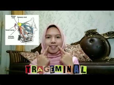 Kelompok 5 IKM C 22 12 Saraf Kranial YouTube