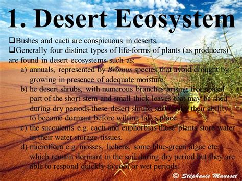 Types Of Ecosystem Desert Ecosystem Forest Ecosystem Ppt Video Online Download