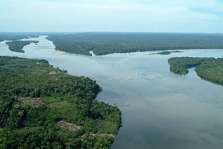 Floresta Nacional De Tapaj S Conhecimento Tudo