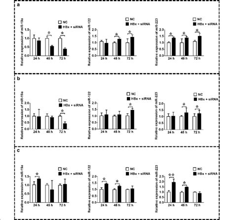 Expression Levels Of Mir A Mir And Mir After Silence Of Hbx