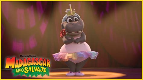 Gloria la bella bailarina DreamWorks Madagascar en Español Latino