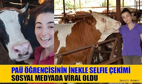 PAÜ öğrencisinin inekle selfie çekimi sosyal medyada viral oldu YAŞAM