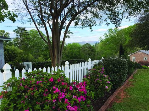 ellijay times courier