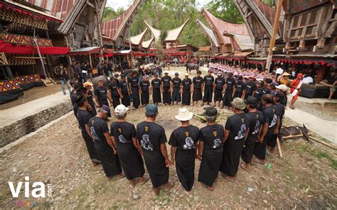 Secuil Keunikan Milik Tana Toraja Via Indonesia Official Blog