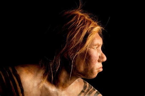 Kannib L Neanderv Lgyi Emberek Nyomaira Bukkantak