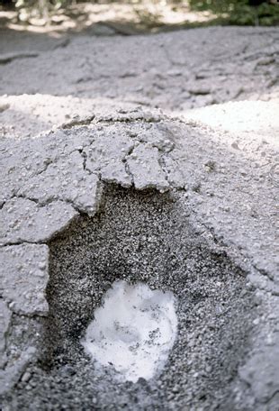 Ashfall Zone: Introduction | Mount St. Helens Science and Learning Center