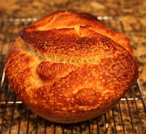 Sourdough Bread Recipe