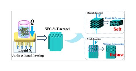 RobustSoft Anisotropic Nanofibrillated Cellulose Aerogels With