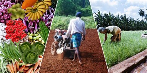 Sri Lankas Agricultural Scientific Community Predicts Substantial