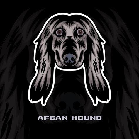 Afghan Hound Hund Gesicht Vektor Stock Illustration Hund Maskottchen