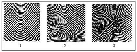 Groundbreaking Technique Reveals Fingerprints In Stunning 3d Detail